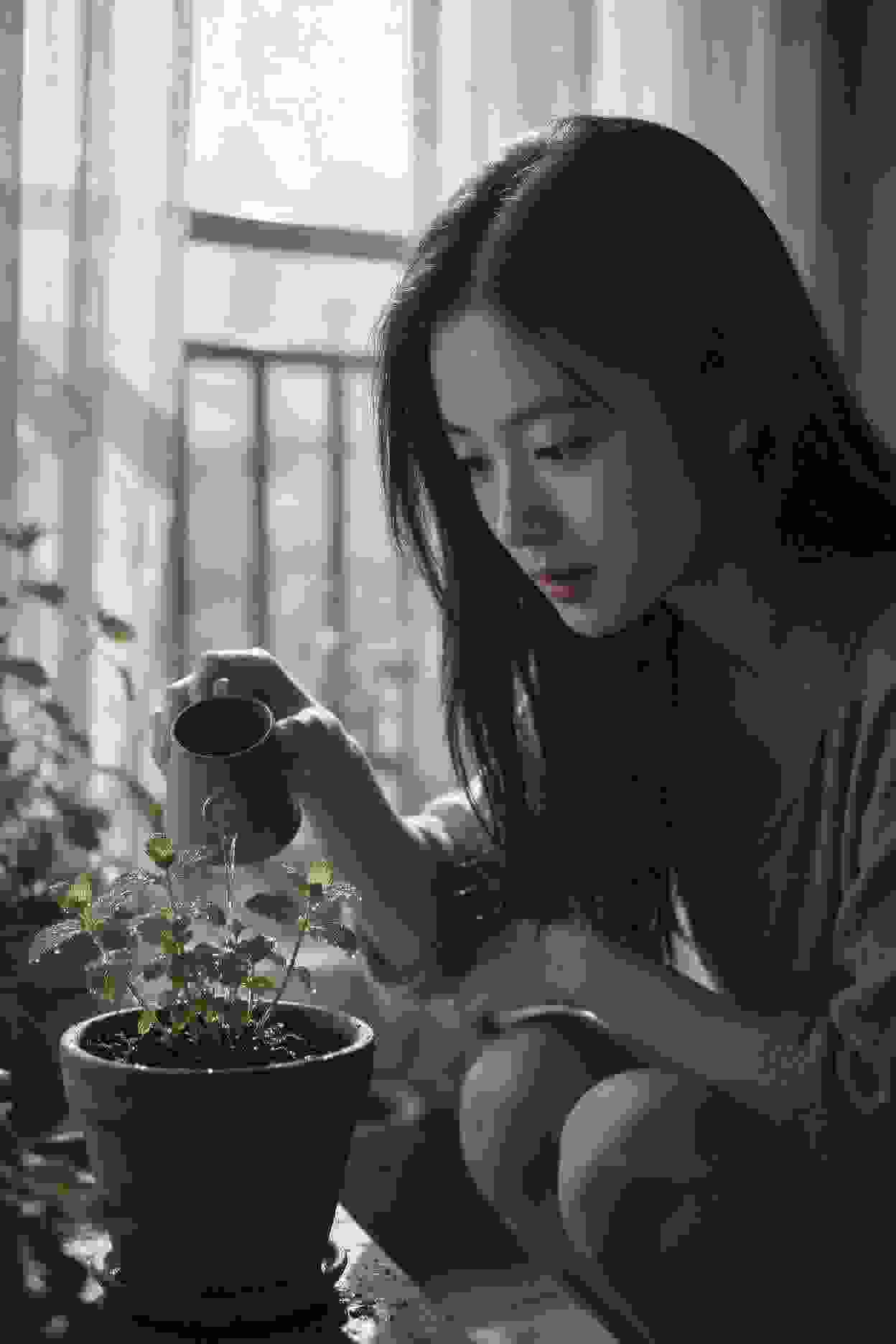秘密花园